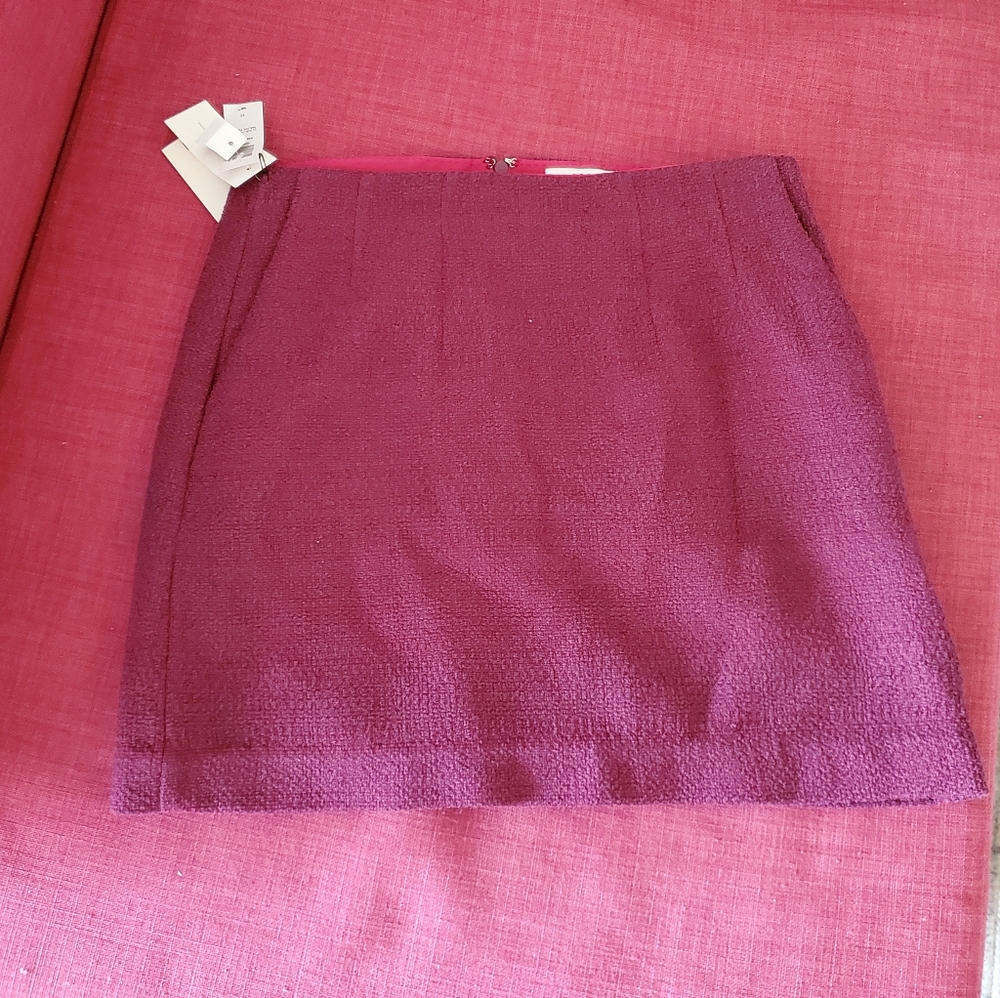 Brand new Aritzia skirt